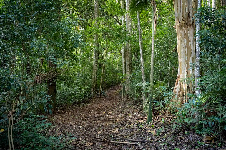 Nature 414 — XavisHome